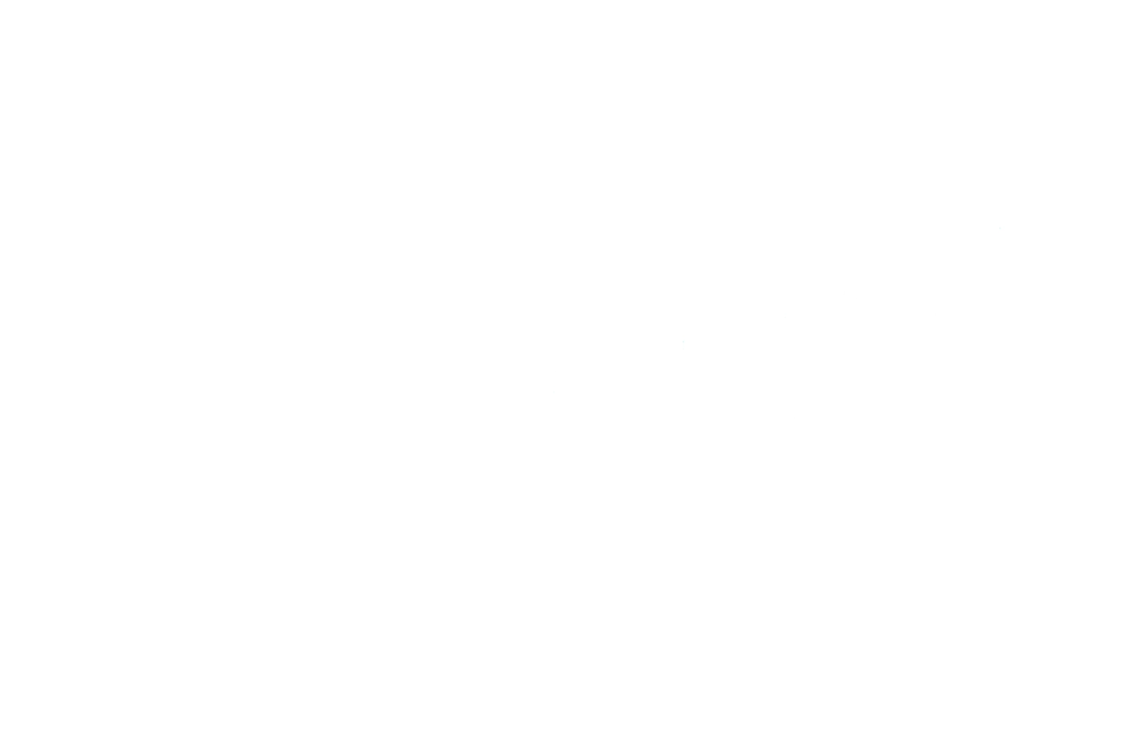logo aeef